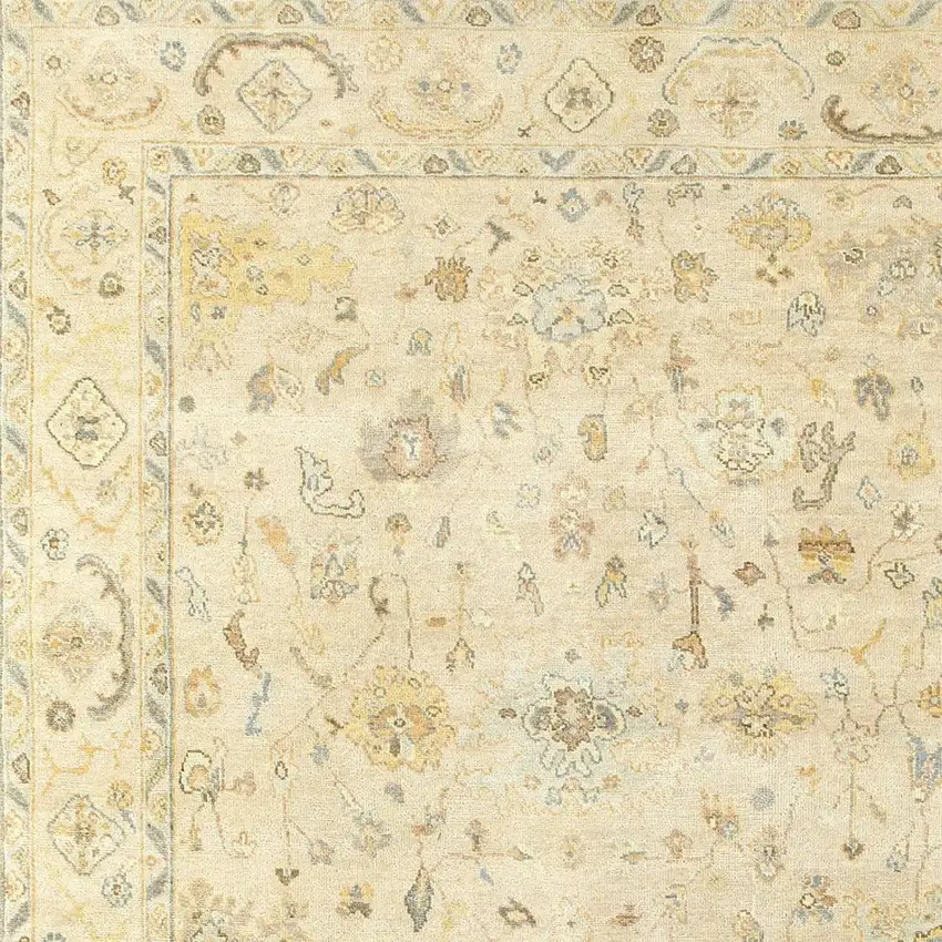 Beige And Gray Wool Oriental Hand Knotted Area Rug Photo 4