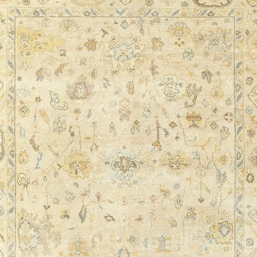 Beige And Gray Wool Oriental Hand Knotted Area Rug Photo 5