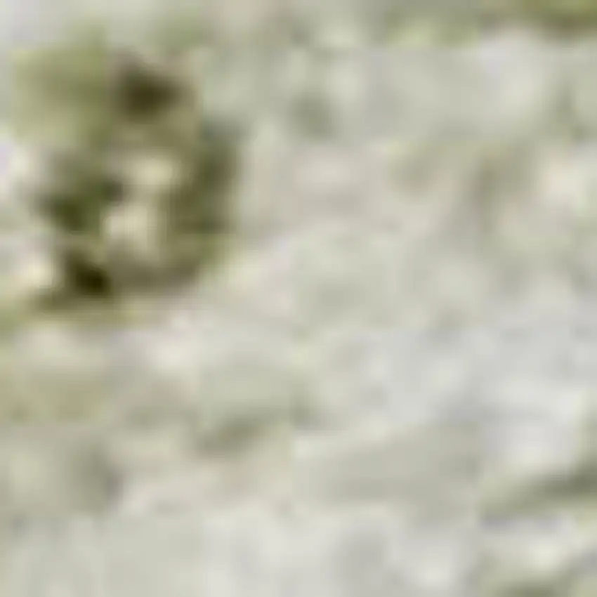 Beige And Green Oriental Washable Area Rug With UV Protection Photo 2