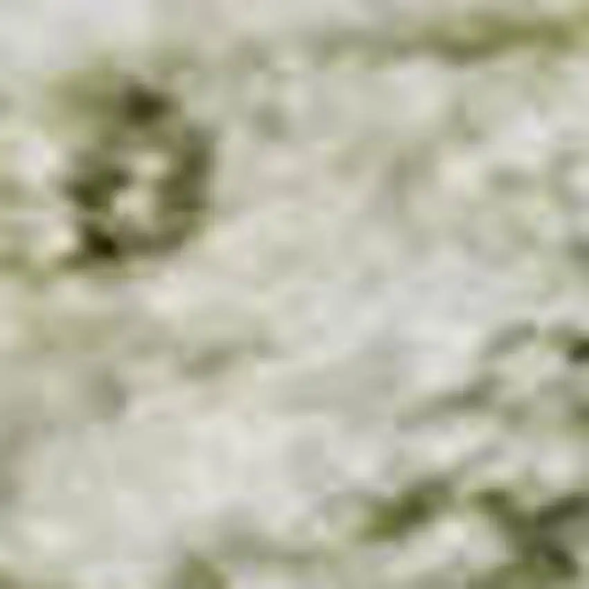 Beige And Green Oriental Washable Area Rug With UV Protection Photo 2