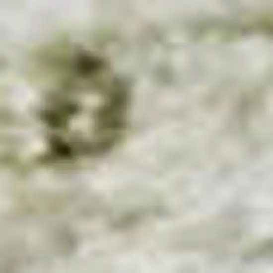 Beige And Green Oriental Washable Area Rug With UV Protection Photo 2