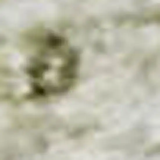 Beige And Green Oriental Washable Area Rug With UV Protection Photo 2