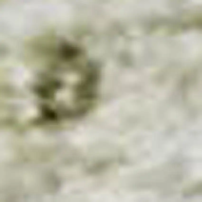 Beige And Green Oriental Washable Area Rug With UV Protection Photo 2