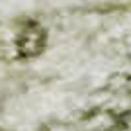 Beige And Green Oriental Washable Area Rug With UV Protection Photo 3