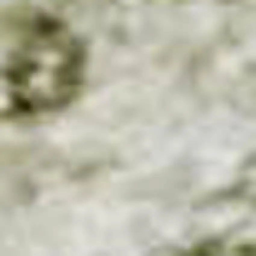 Beige And Green Oriental Washable Area Rug With UV Protection Photo 2