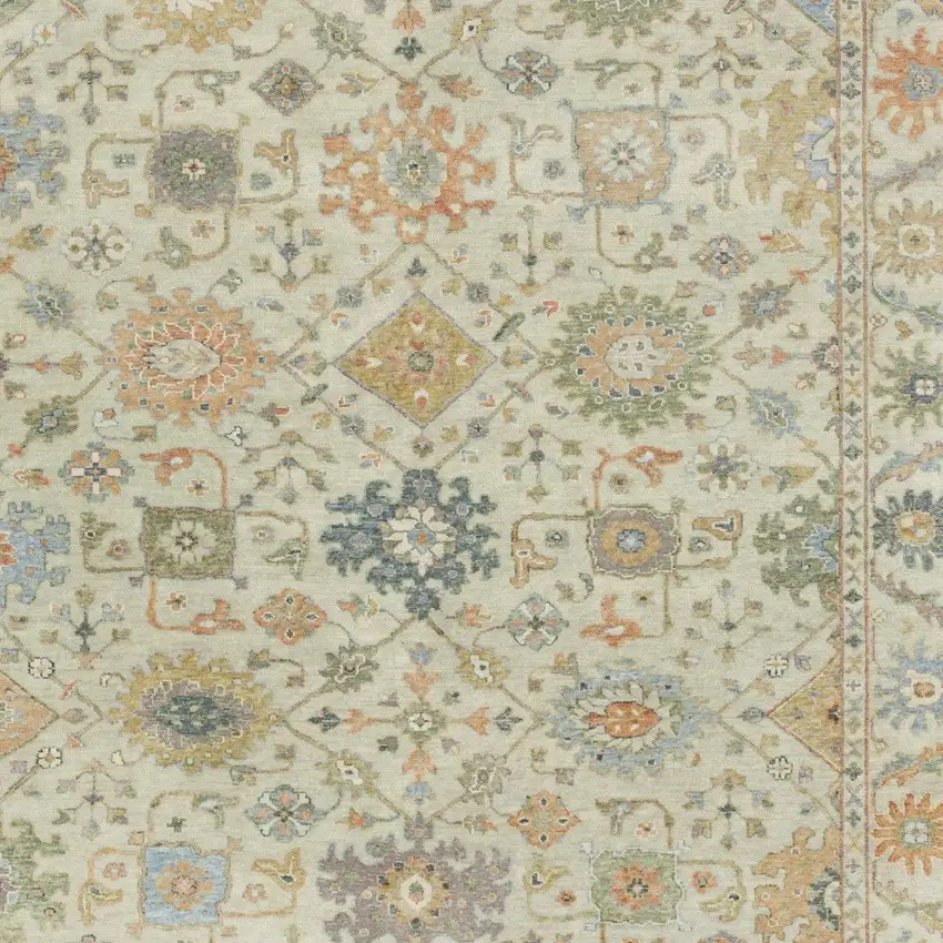 Beige And Green Wool Oriental Hand Knotted Area Rug With Fringe Photo 5
