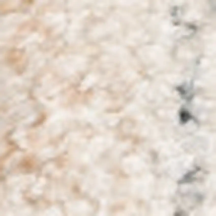 Beige And Grey Oriental Hand Loomed Stain Resistant Area Rug With Fringe Photo 4