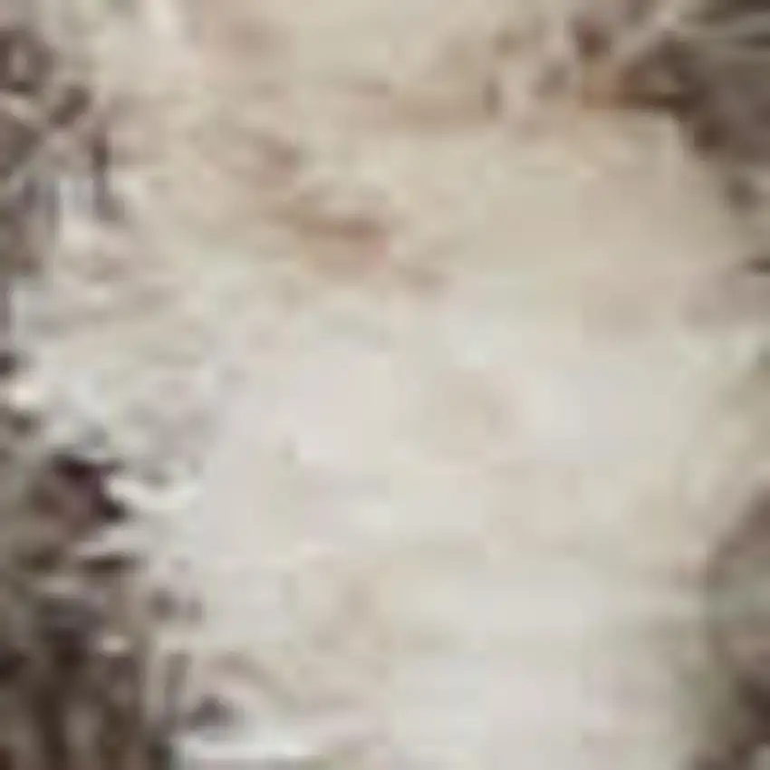 Beige And Ivory Oriental Distressed Area Rug Photo 3