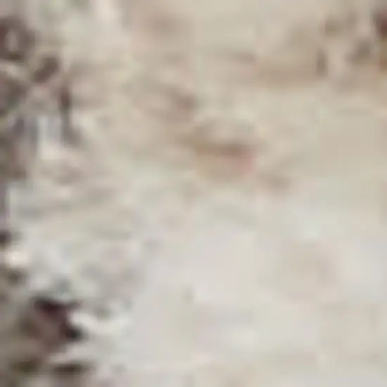 Beige And Ivory Oriental Distressed Area Rug Photo 1