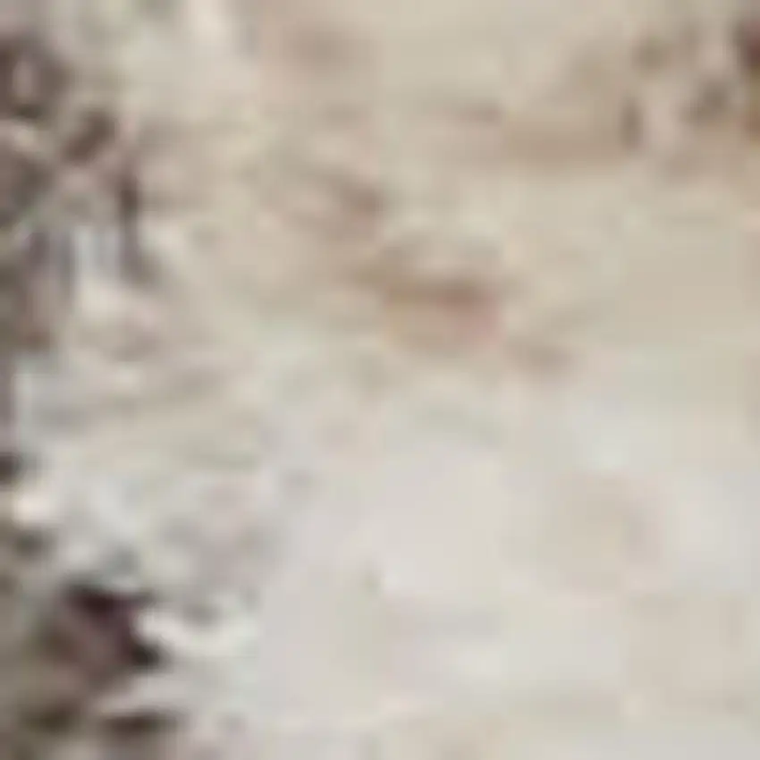 Beige And Ivory Oriental Distressed Area Rug Photo 1