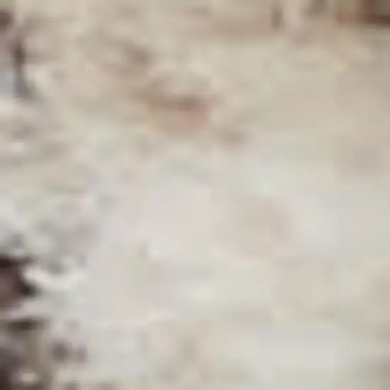 Beige And Grey Oriental Power Loom Non Skid Area Rug Photo 1