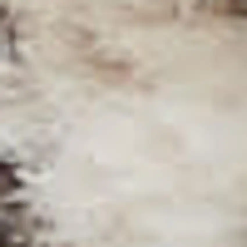 Beige And Grey Oriental Power Loom Non Skid Area Rug Photo 1