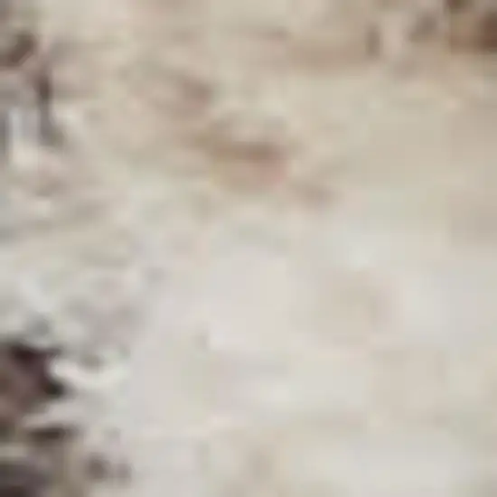 2' X 8' Beige And Grey Oriental Power Loom Non Skid Runner Rug Photo 1