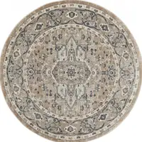 Photo of Beige And Grey Round Oriental Power Loom Non Skid Area Rug