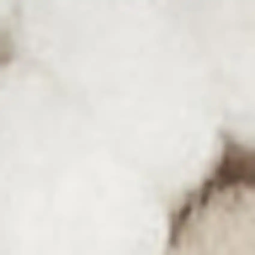 Beige And Ivory Abstract Area Rug Photo 2