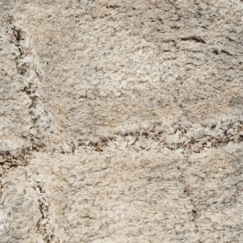 Beige And Ivory Abstract Shag Area Rug Photo 3