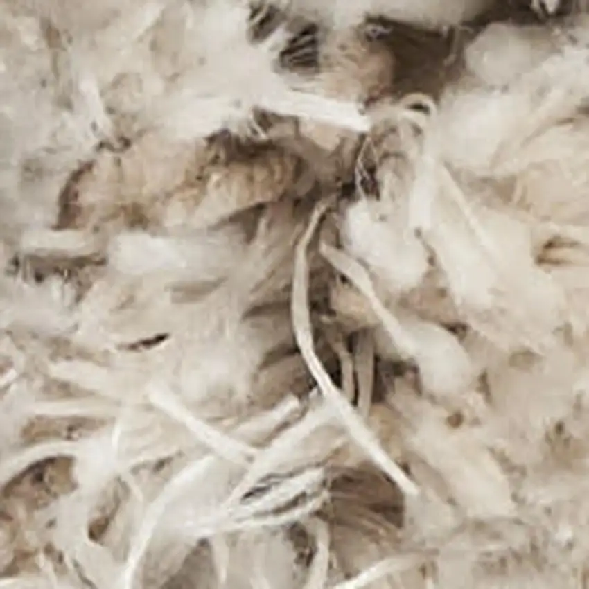 Beige And Ivory Abstract Shag Area Rug Photo 2