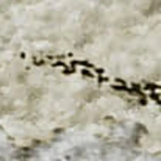 Beige And Ivory Abstract Washable Area Rug With UV Protection Photo 3