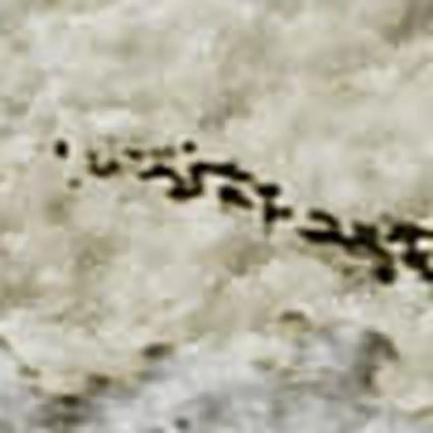 Beige And Ivory Abstract Washable Area Rug With UV Protection Photo 3