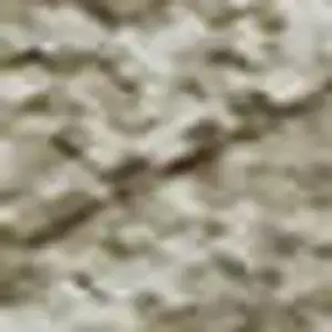 Photo of Beige And Ivory Abstract Washable Area Rug With UV Protection