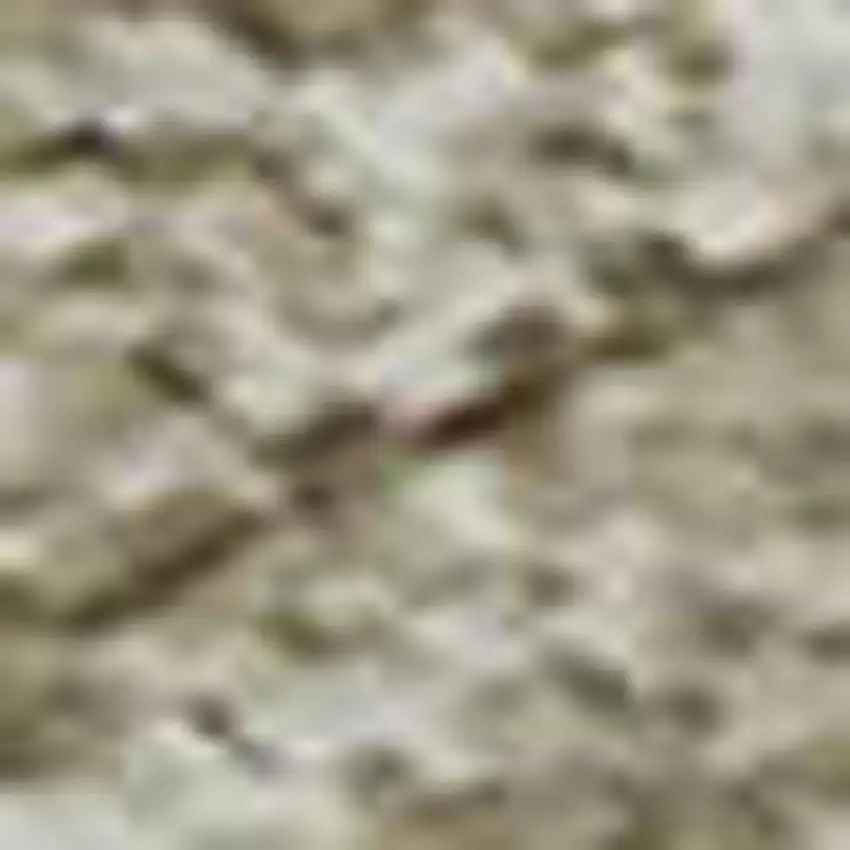 Beige And Ivory Abstract Washable Area Rug With UV Protection Photo 1