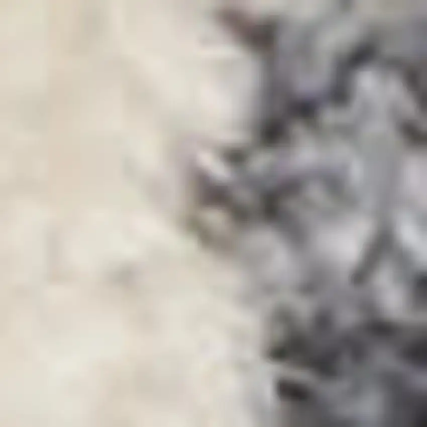 Beige And Ivory Floral Distressed Area Rug Photo 2