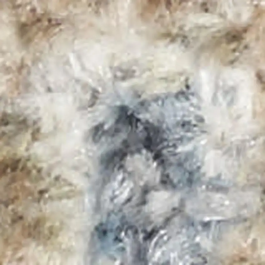 Beige And Ivory Floral Medallion Washable Area Rug Photo 3