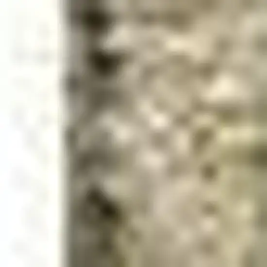 Beige And Ivory Floral Washable Area Rug With UV Protection Photo 4