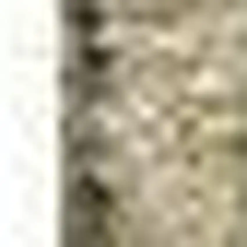 Beige And Ivory Floral Washable Area Rug With UV Protection Photo 4