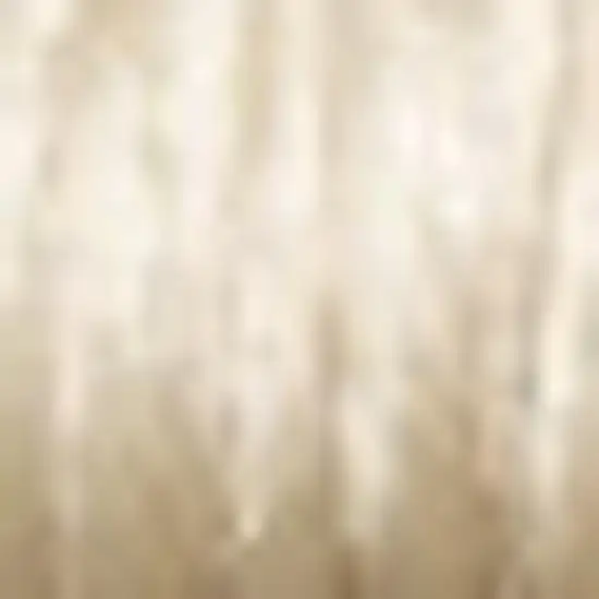 Beige And Ivory Geometric Area Rug Photo 3