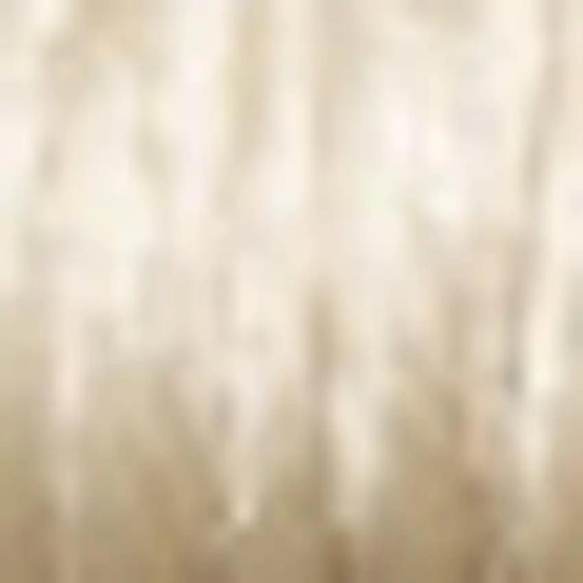 Beige And Ivory Geometric Area Rug Photo 3
