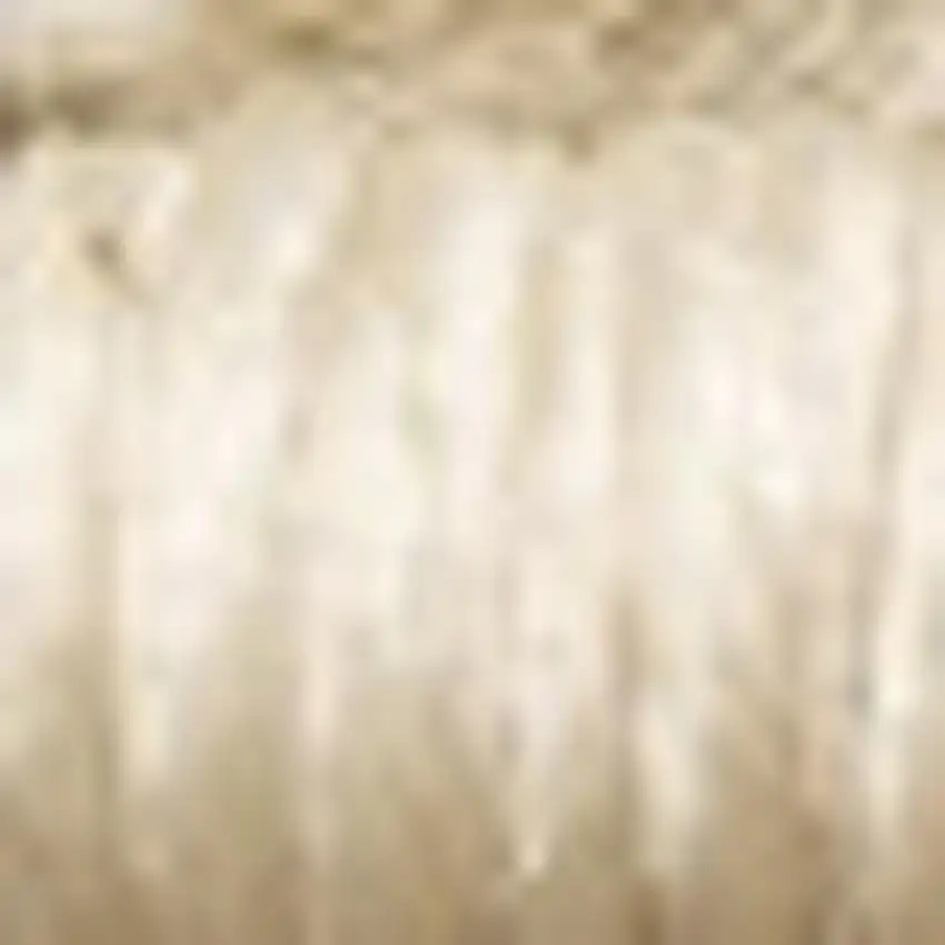 Beige And Ivory Geometric Area Rug Photo 3