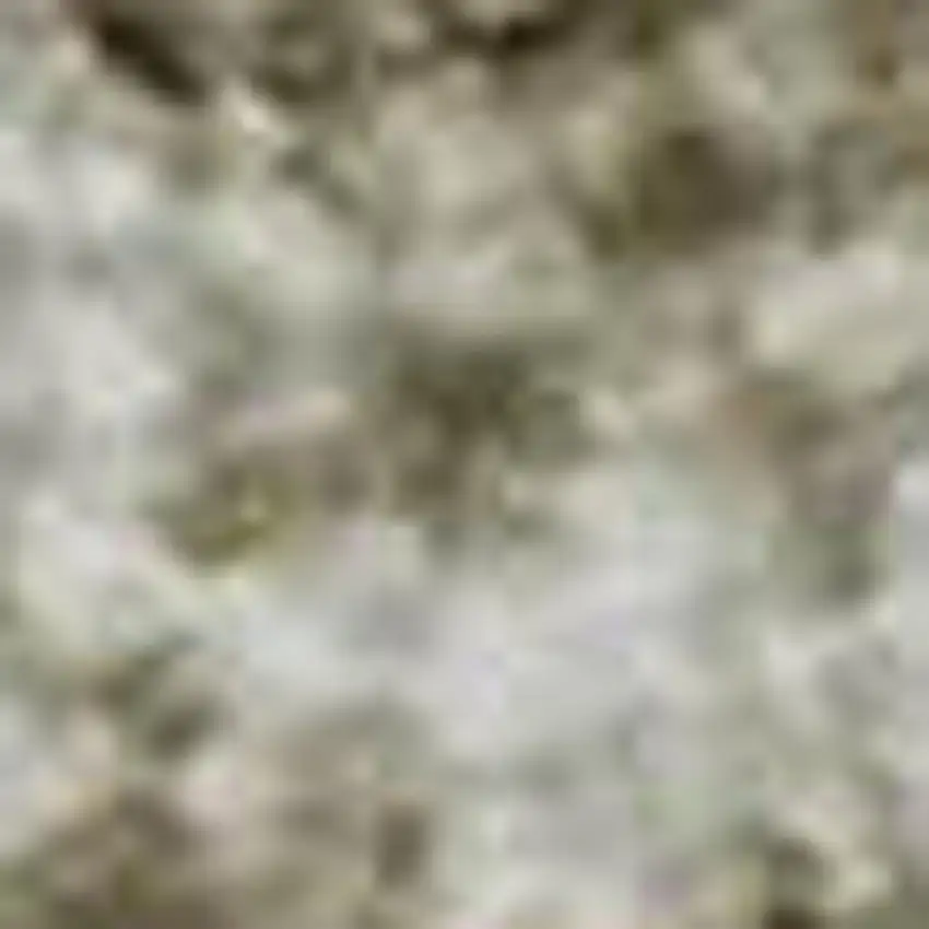 Beige And Ivory Oriental Washable Area Rug With UV Protection Photo 2