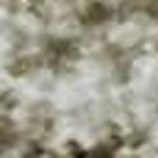 Beige And Ivory Oriental Washable Area Rug With UV Protection Photo 2