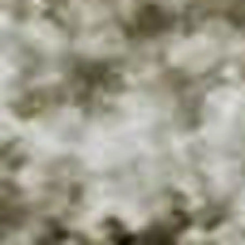 Beige And Ivory Oriental Washable Area Rug With UV Protection Photo 2