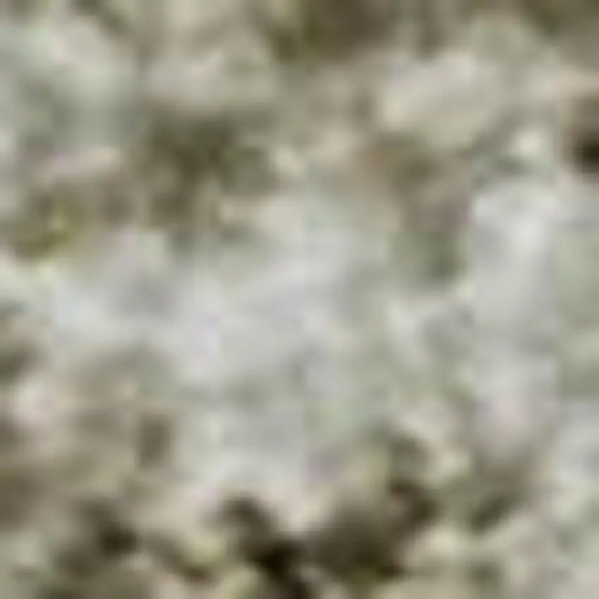 Beige And Ivory Oriental Washable Area Rug With UV Protection Photo 2