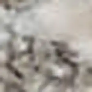 Photo of Beige And Ivory Southwestern Area Rug