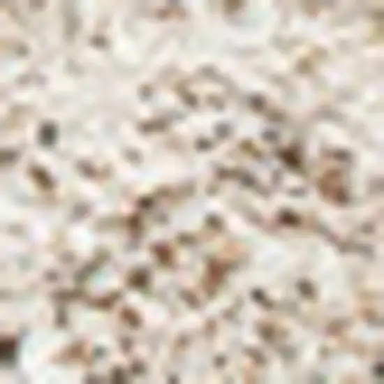 Beige And Natural Geometric Area Rug Photo 5