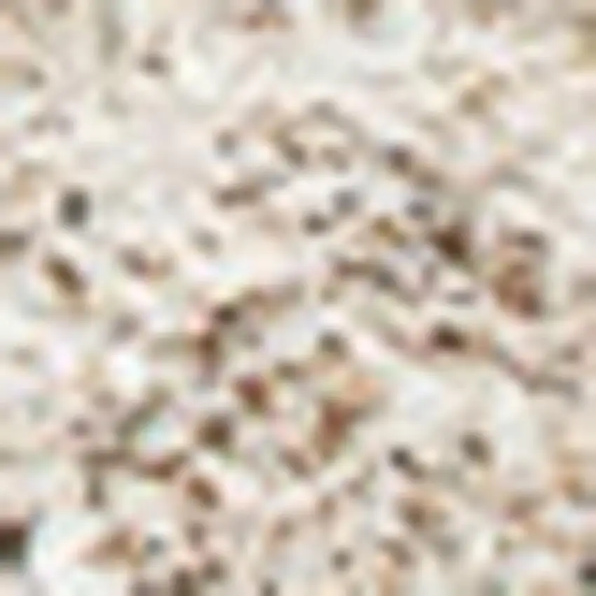 Beige And Natural Geometric Area Rug Photo 5