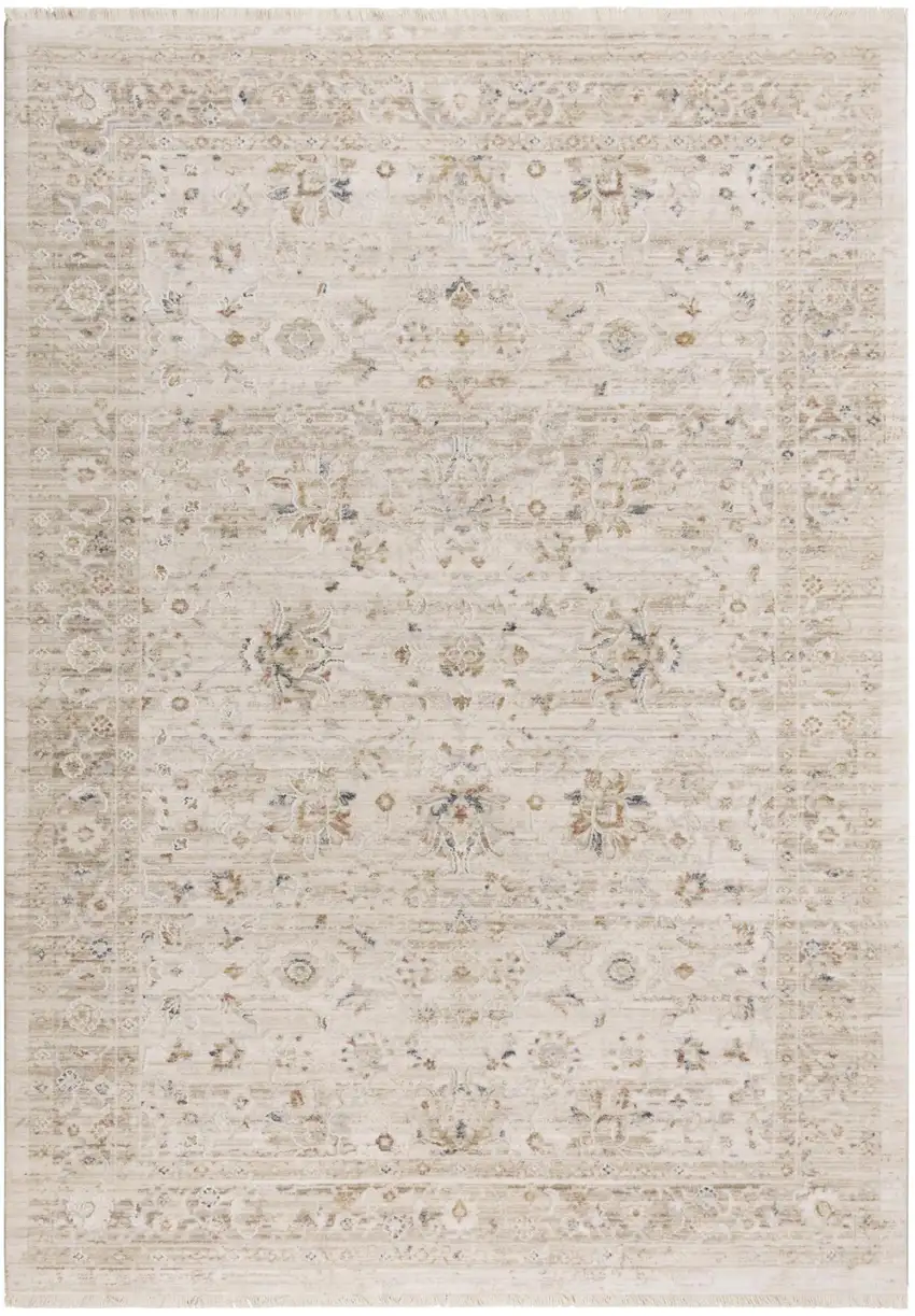 Beige And Natural Oriental Area Rug Photo 1
