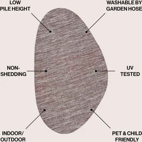 Beige And Red Medallion Indoor Outdoor Area Rug Photo 9