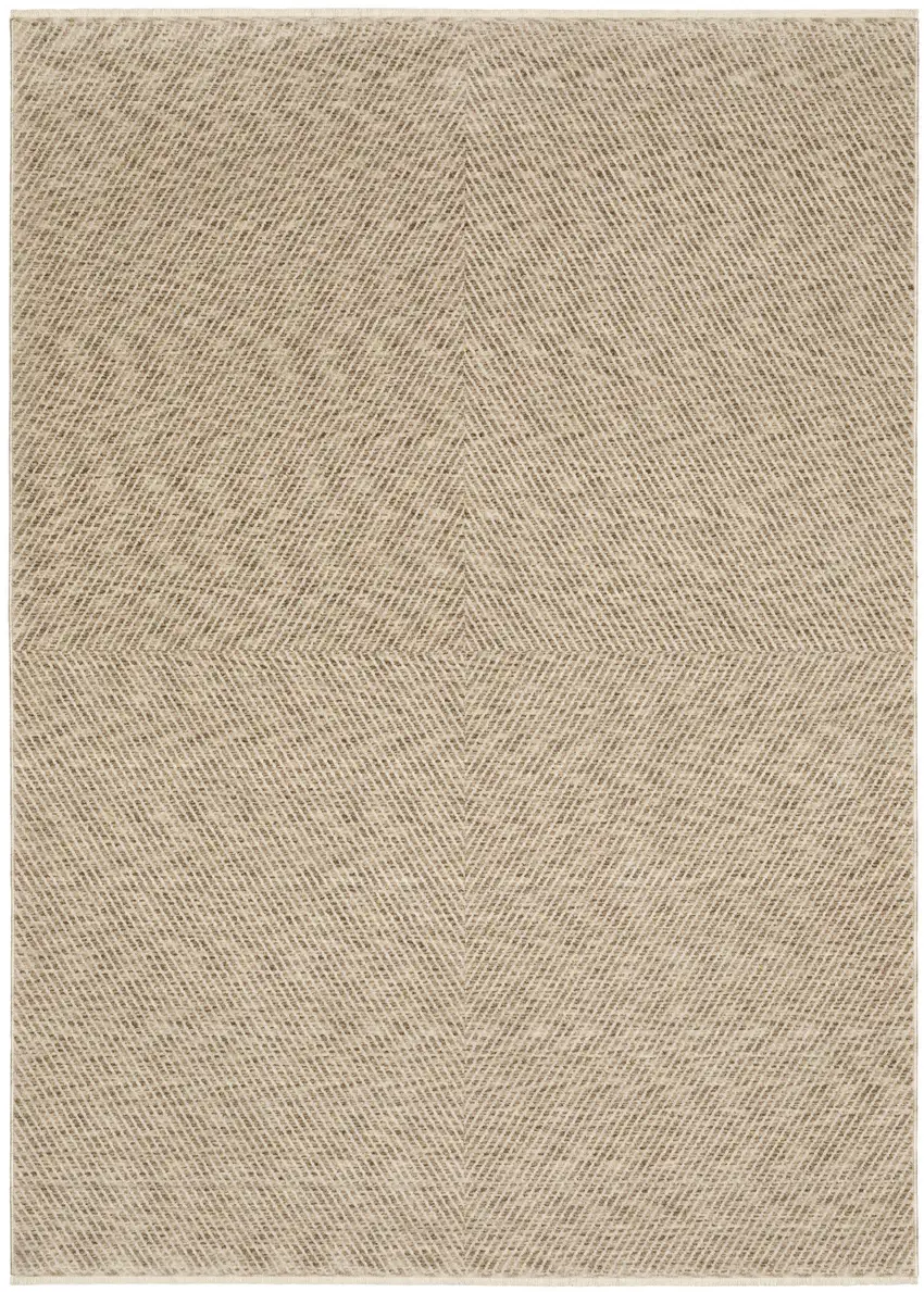 Beige And Tan Striped Area Rug With Fringe Photo 2