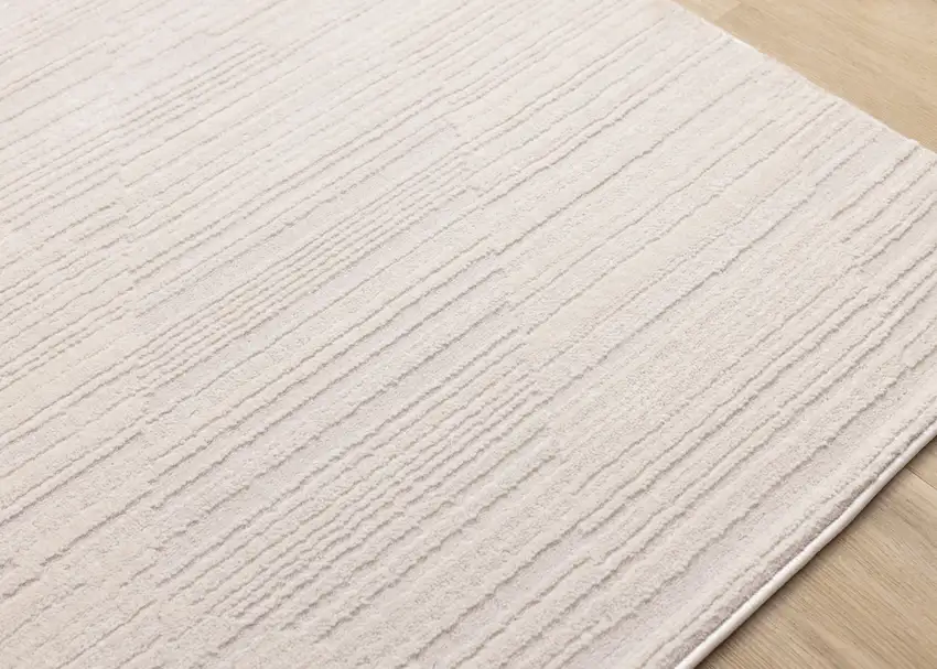 Beige Area Rug Photo 7