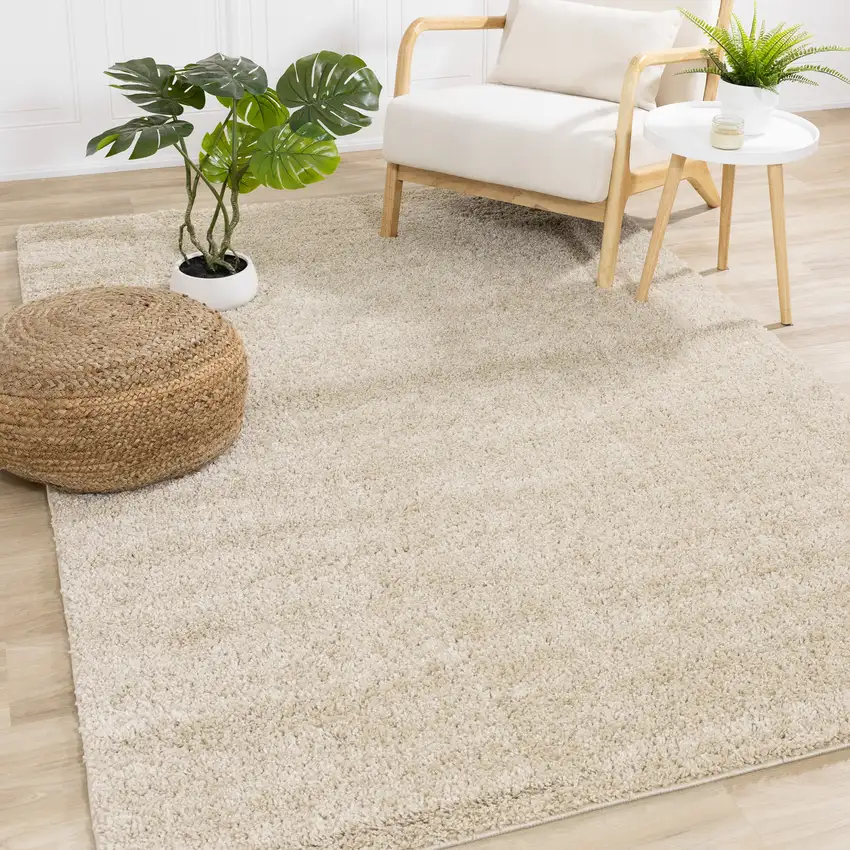 Beige Area Rug Photo 6