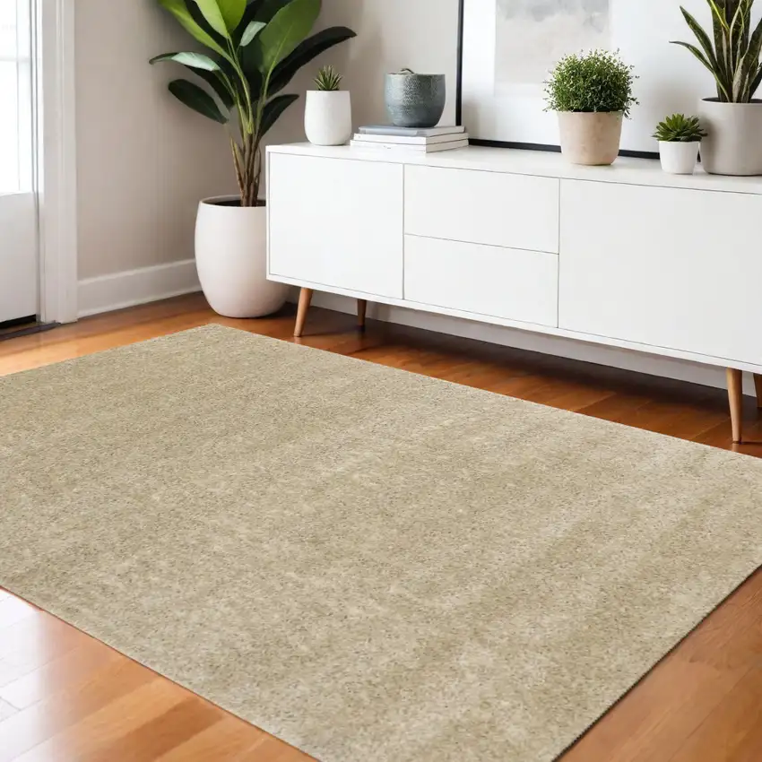 Beige Area Rug Photo 1