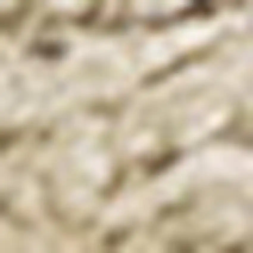 Beige Area Rug Photo 4