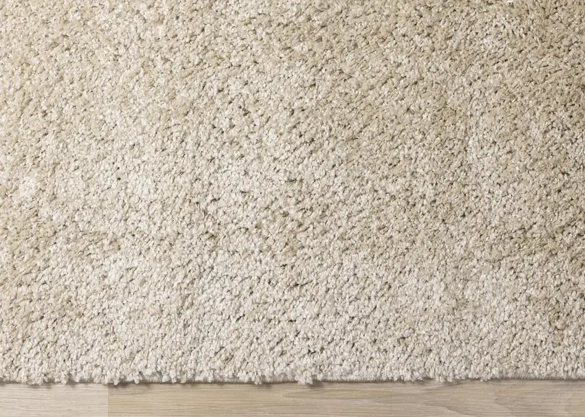 Beige Area Rug Photo 8