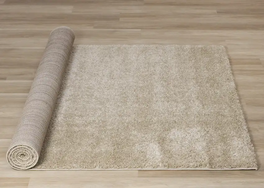 Beige Area Rug Photo 9