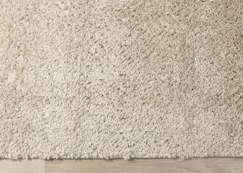 Beige Area Rug Photo 9