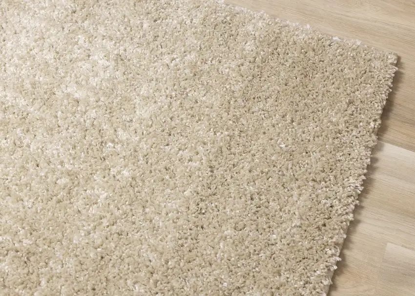 Beige Area Rug Photo 6